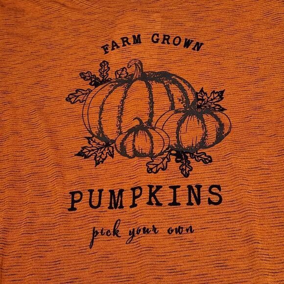 🔸️TruSelf Rust Orange Autumn/Fall Pumpkin 3/4 Sleeve Top Large - Picture 6 of 12